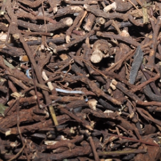 INDIAN_SARSAPARILLA_(NANNARI_ANANTAMUL)_ROOTS_100G_-_KANNADIYAR