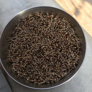 _AYULL_BLACK_WHEAT_WHOLE_1KG_