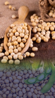 AYULL_SOYA_BEANS_500G_