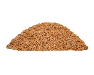 AYULL_SAMBA_WHEAT_5KG_