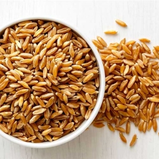 _AYULL_SAMBA_WHEAT_1KG