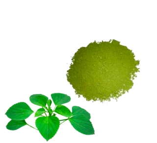 INDIAN_NETTLE_DRIED_LEAVES_(KUPPAIMENI_KHOKALI)_POWDER_50G_-_KANNADIYAR