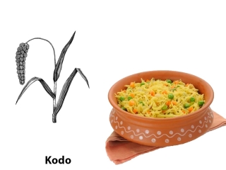 AYULL_KODO_MILLET_VERMICELLI_200G