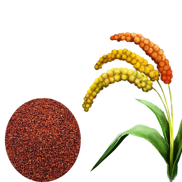 AYULL_FINGER_MILLET(KEZHVARAGU_RAGI_NACHANI)_1KG_