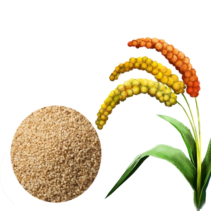 AYULL_BARNYARD(KUTHIRAVALI_OODALU_JHANGORA)_MILLET_500G_