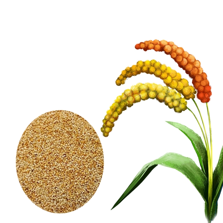 AYULL_KODO_MILLET_(VARAGU_HARKA_KODEN)500G_