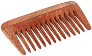 NEEM_COMB_MODEL_B_