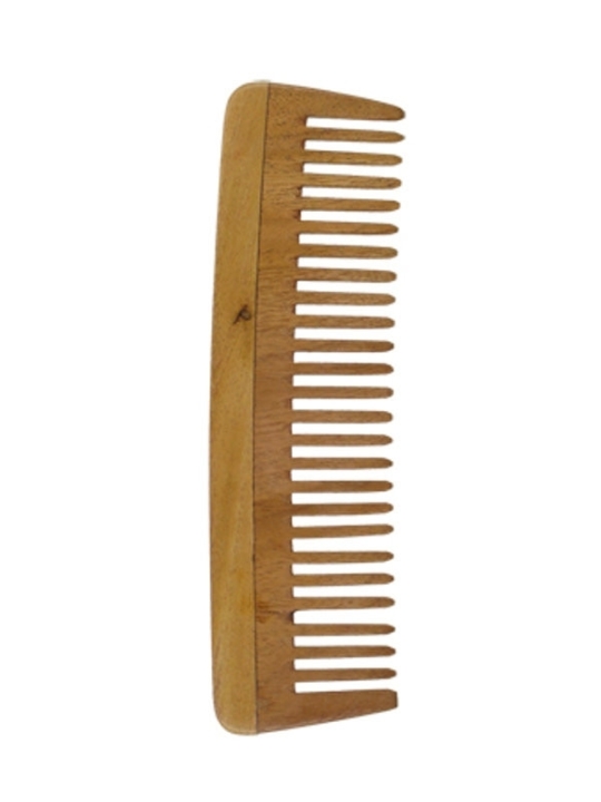 NEEM_COMB_MODEL_E_