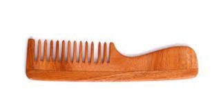 NEEM_COMB_MODEL_F_