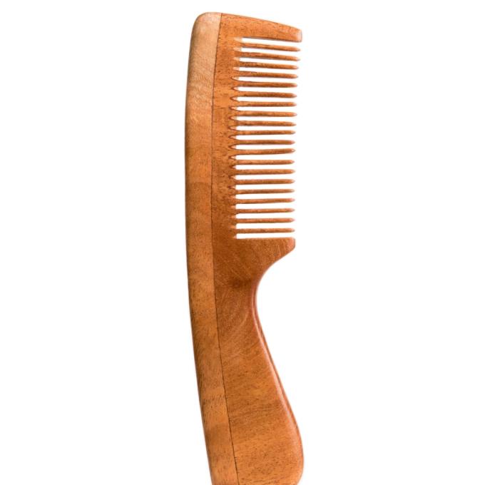 NEEM_COMB_MODEL_C_