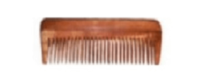 NEEM_COMB_MODEL_H_