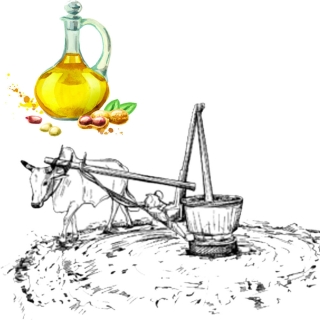 AYULL_BULL-DRIVEN_GROUNDNUT_OIL_1L_